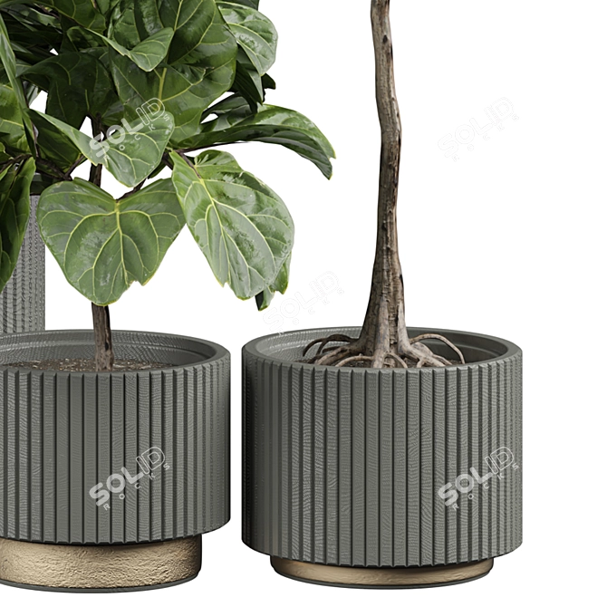 Lush Indoor Plant 3D Model 3D model image 3