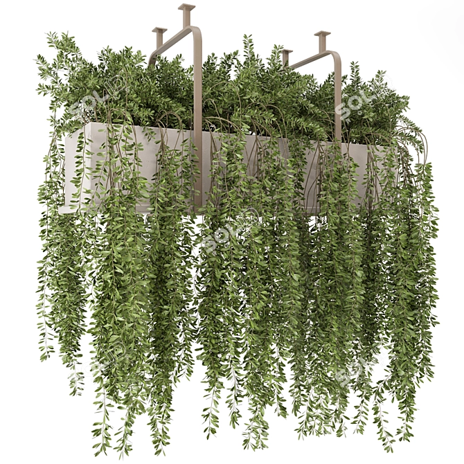 Botanical Metal Hanging Plants Set 3D model image 1