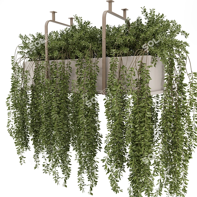 Botanical Metal Hanging Plants Set 3D model image 2