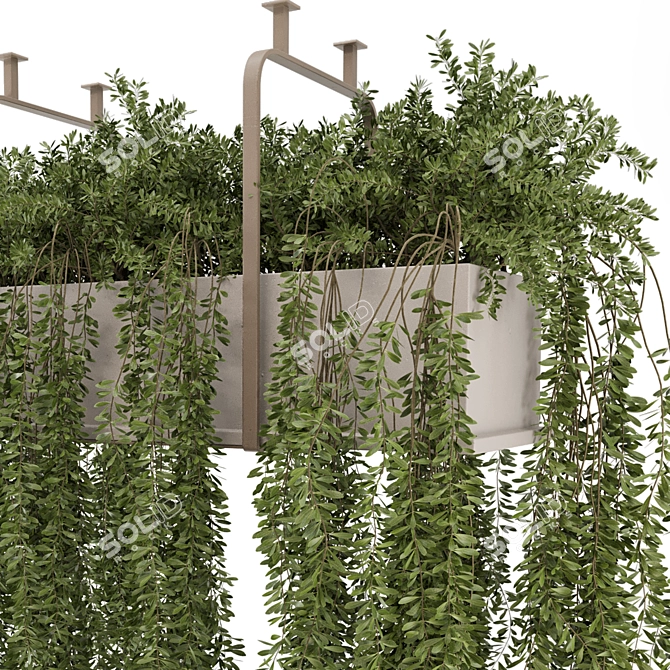 Botanical Metal Hanging Plants Set 3D model image 4