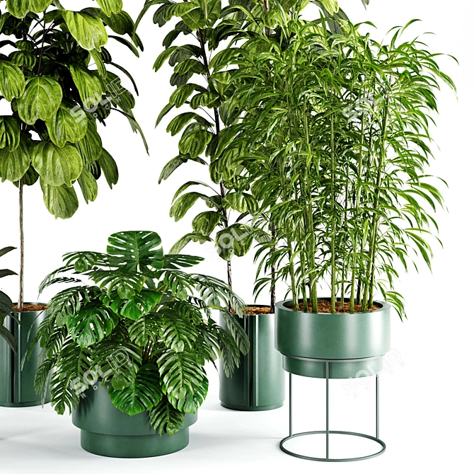 Modern Indoor Plant Set 27 3D model image 2