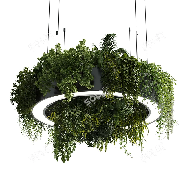 Plant Light Pendant Circle Design 3D model image 1