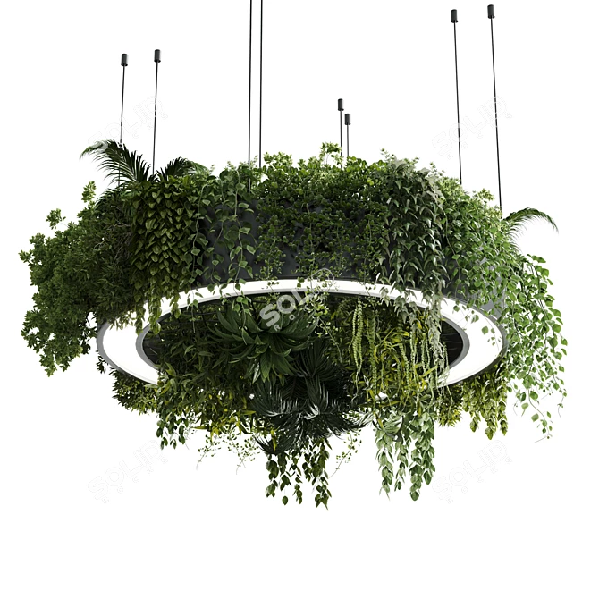 Plant Light Pendant Circle Design 3D model image 2