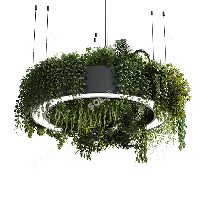 Plant Light Pendant Circle Design 3D model image 3