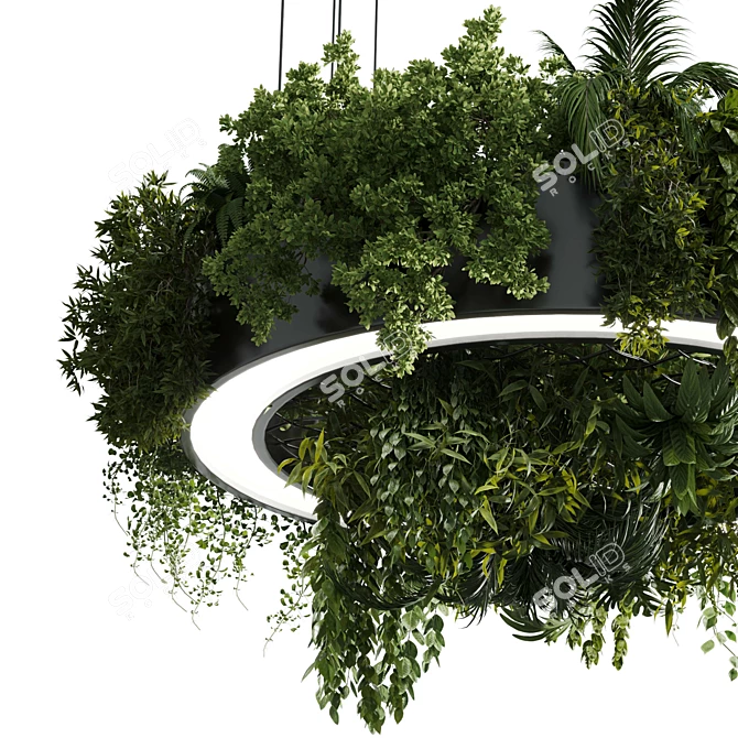 Plant Light Pendant Circle Design 3D model image 4