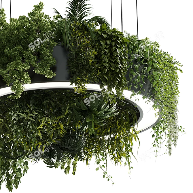 Plant Light Pendant Circle Design 3D model image 5