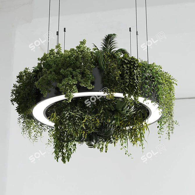 Plant Light Pendant Circle Design 3D model image 6