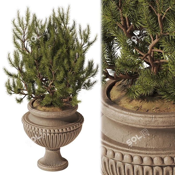 Classic Vase with Pine Decor 3D model image 1