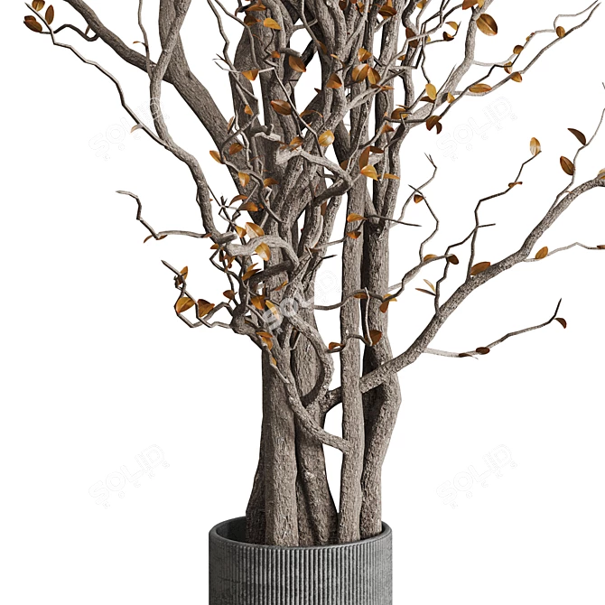 Autumn Tree Branches Concrete Vase 3D model image 3