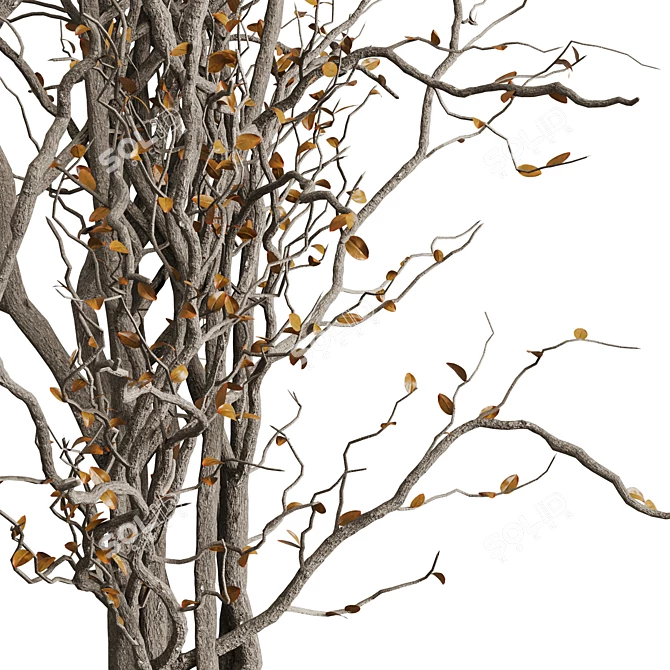 Autumn Tree Branches Concrete Vase 3D model image 4