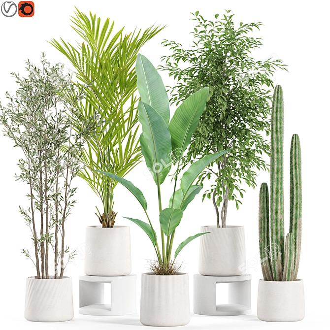 Botanical Oasis Plants Set 3D model image 1
