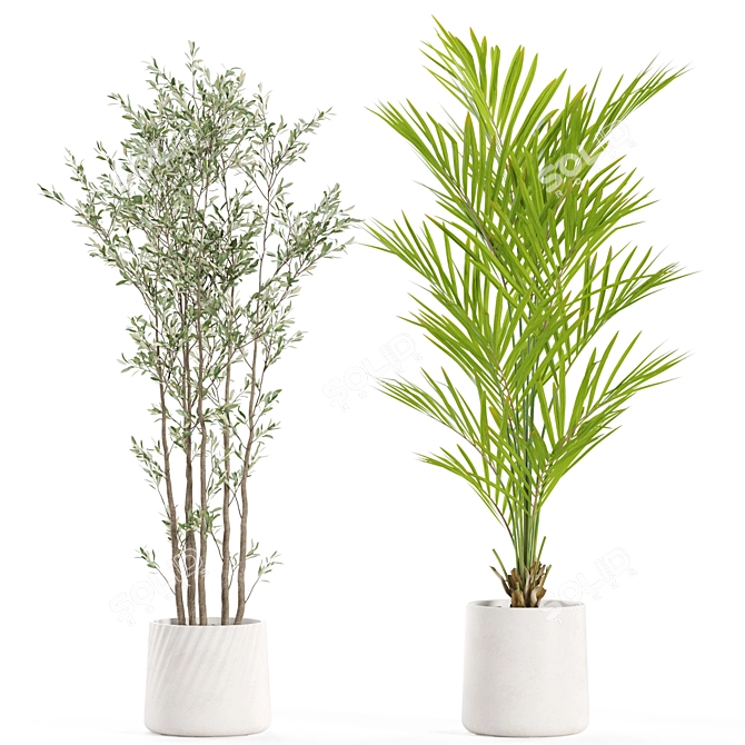 Botanical Oasis Plants Set 3D model image 2