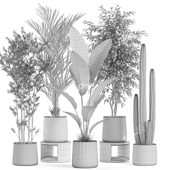 Botanical Oasis Plants Set 3D model image 6