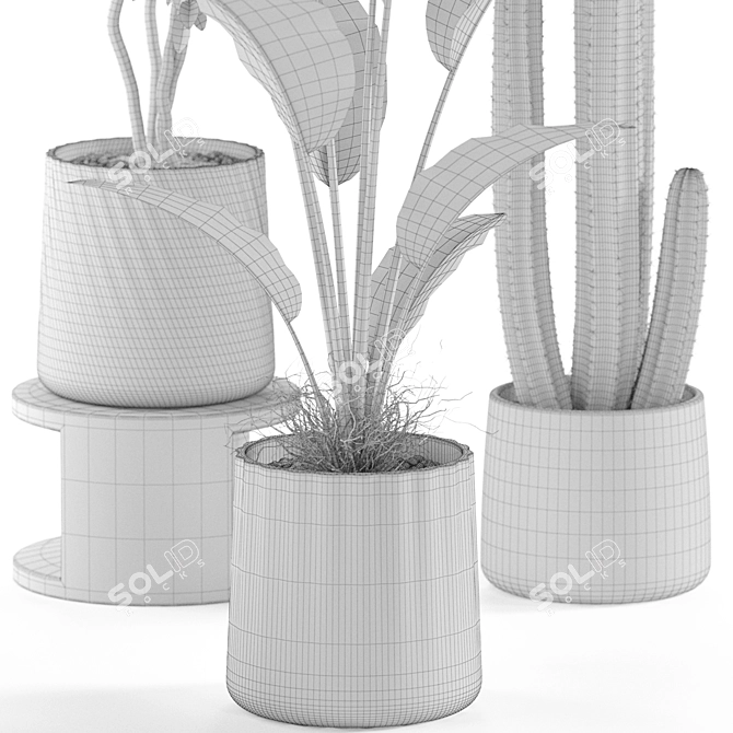 Botanical Oasis Plants Set 3D model image 7