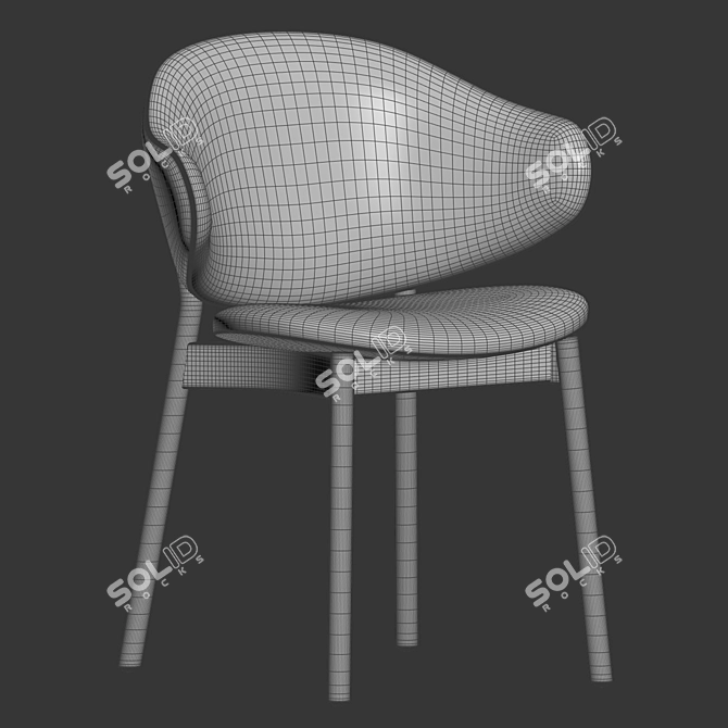 Modern Nelli Dining Chair Design 3D model image 2