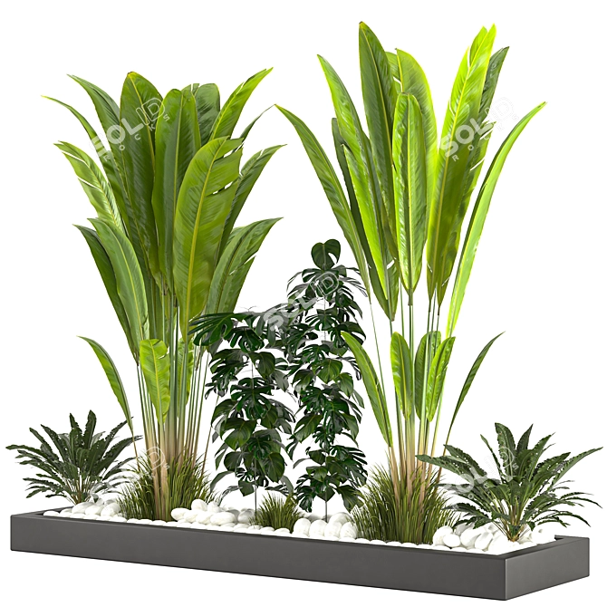 Versatile Resizable Indoor Outdoor Plants 3D model image 1