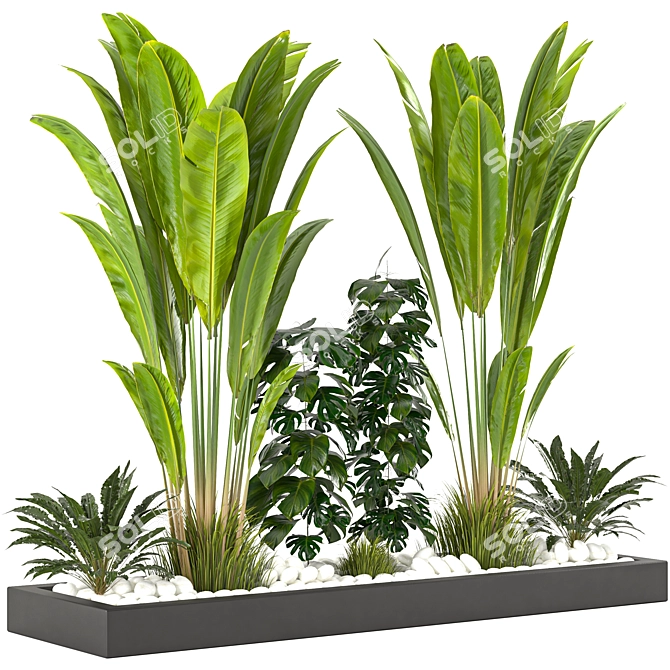 Versatile Resizable Indoor Outdoor Plants 3D model image 2