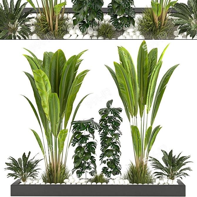 Versatile Resizable Indoor Outdoor Plants 3D model image 3