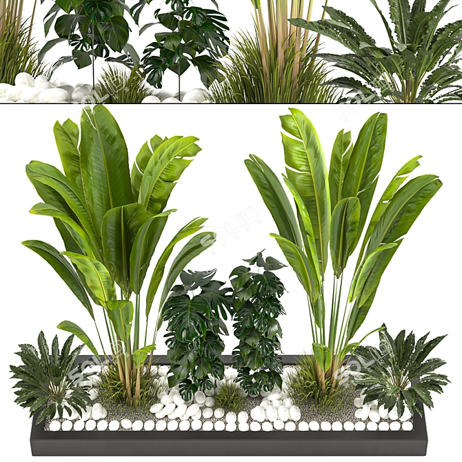 Versatile Resizable Indoor Outdoor Plants 3D model image 4