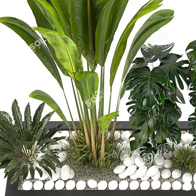 Versatile Resizable Indoor Outdoor Plants 3D model image 5