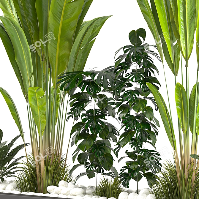 Versatile Resizable Indoor Outdoor Plants 3D model image 6