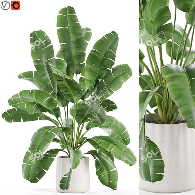Lush Plants Collection 954 3D model image 1