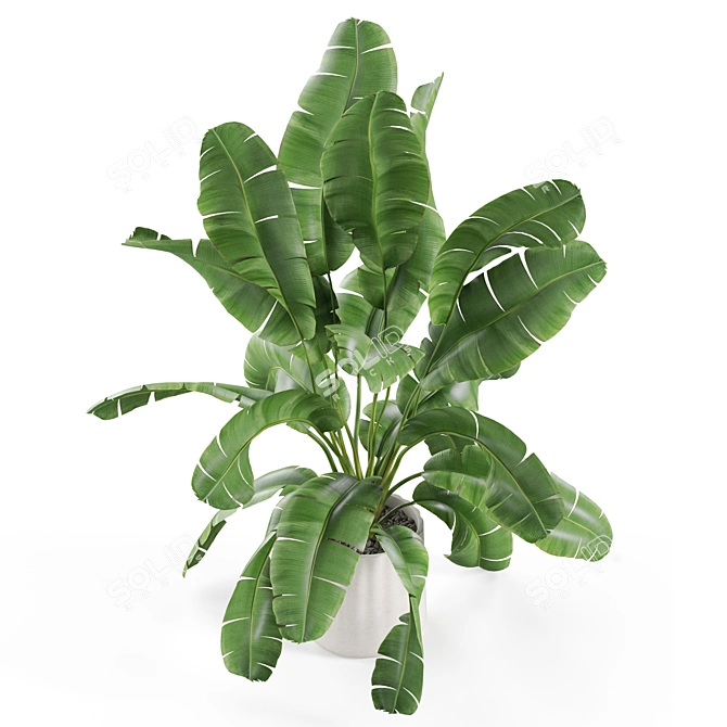 Lush Plants Collection 954 3D model image 2