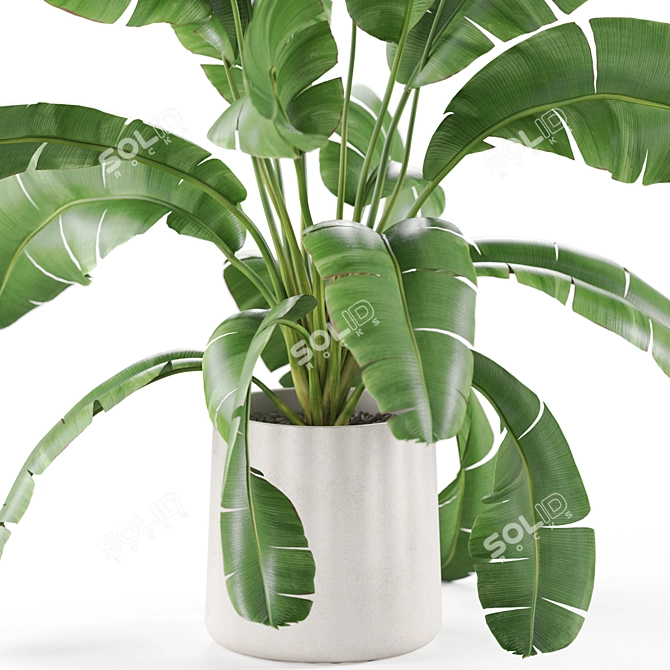 Lush Plants Collection 954 3D model image 3