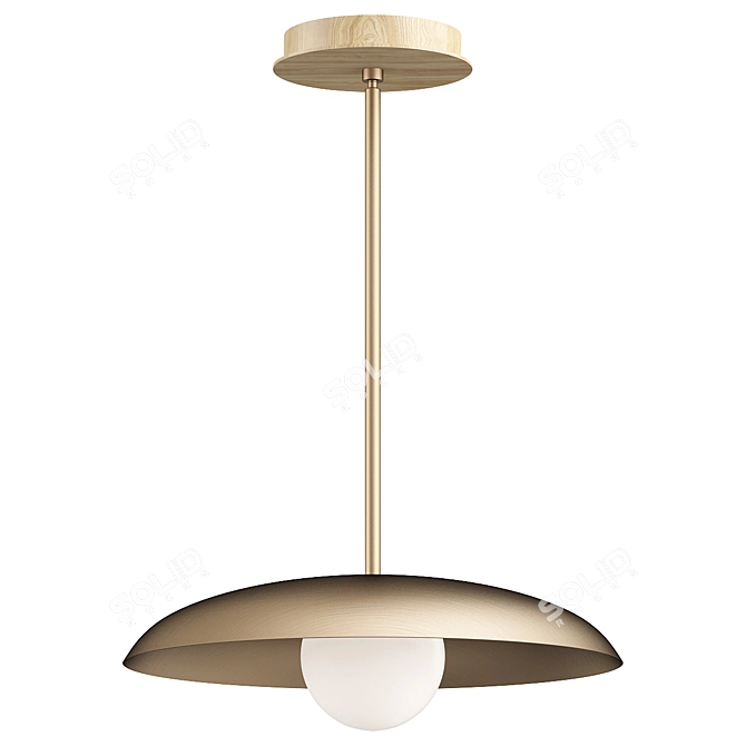 Modern Pendant Light Fixture Jessamine 3D model image 1