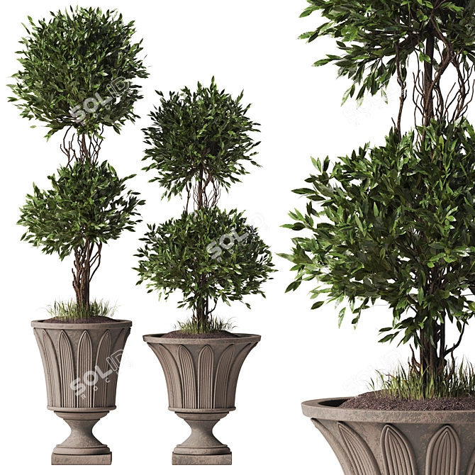 TurboSmooth Topiary Pot Set 3D model image 1