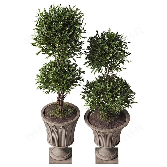 TurboSmooth Topiary Pot Set 3D model image 3