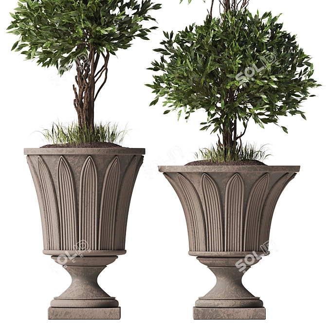 TurboSmooth Topiary Pot Set 3D model image 4