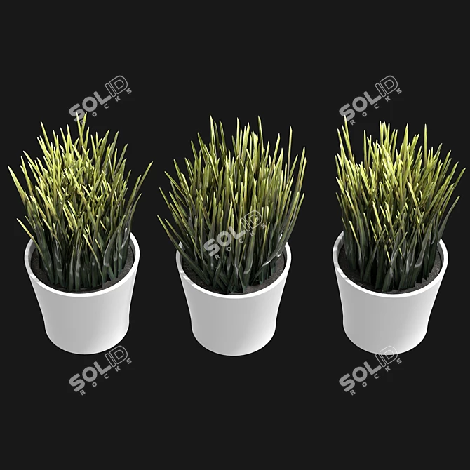 UV-Unwrapped Indoor Plants Model 3D model image 3