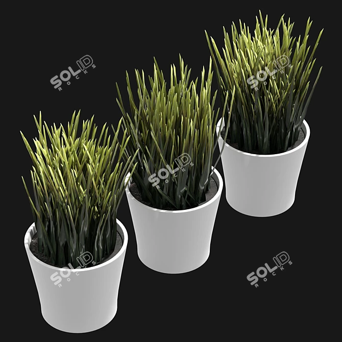 UV-Unwrapped Indoor Plants Model 3D model image 5