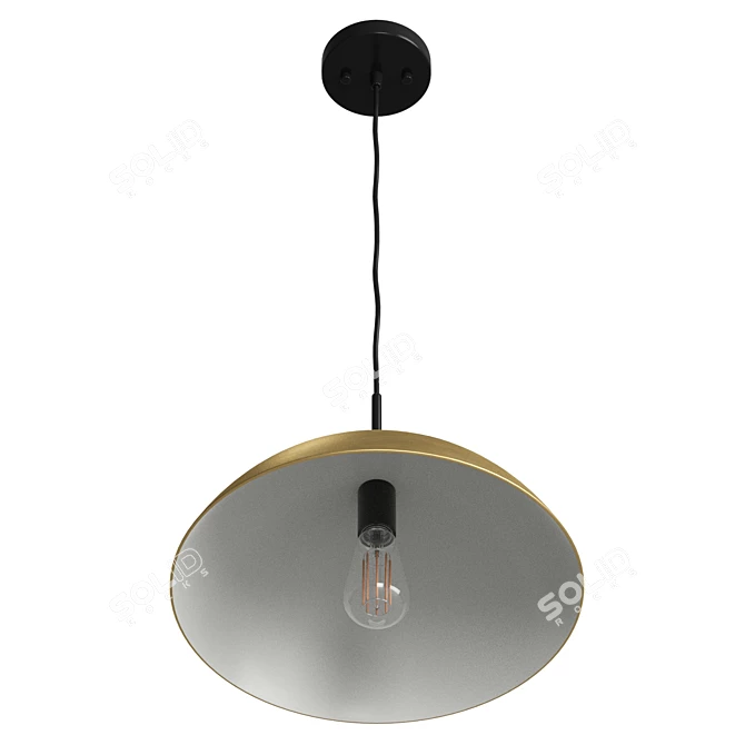  Modern Pendant Light Fixture 3D model image 3