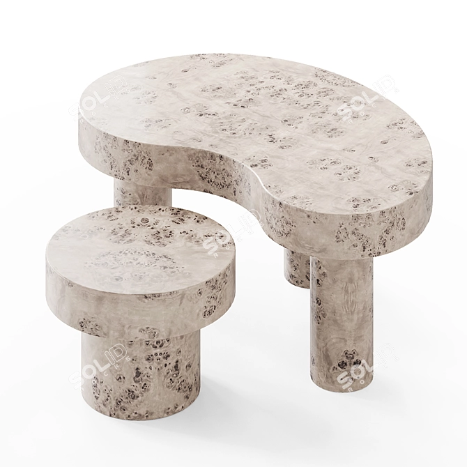 Oslo Root Coffee Table Set 3D model image 2