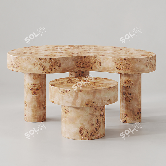 Oslo Root Coffee Table Set 3D model image 11