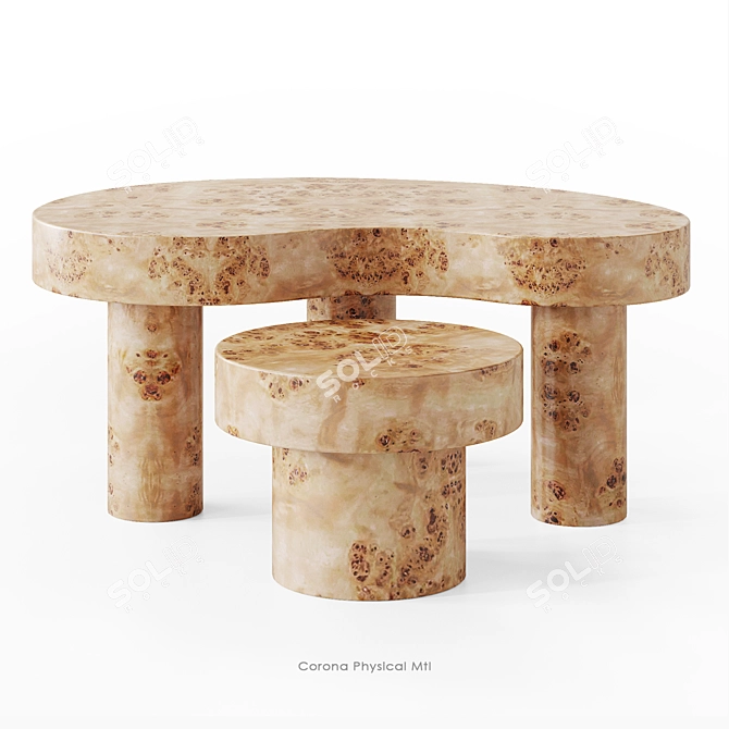 Oslo Root Coffee Table Set 3D model image 13