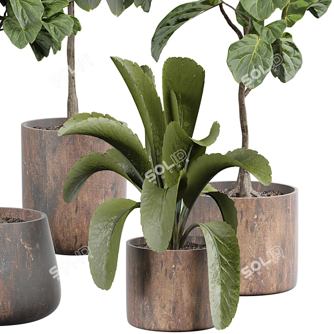 Blooming Indoor Plant Decor 3D model image 2