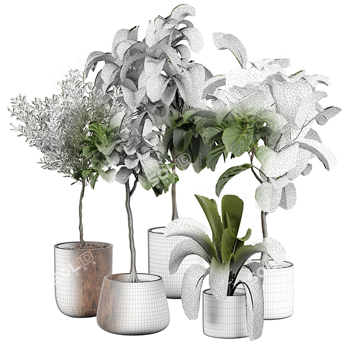 Blooming Indoor Plant Decor 3D model image 4