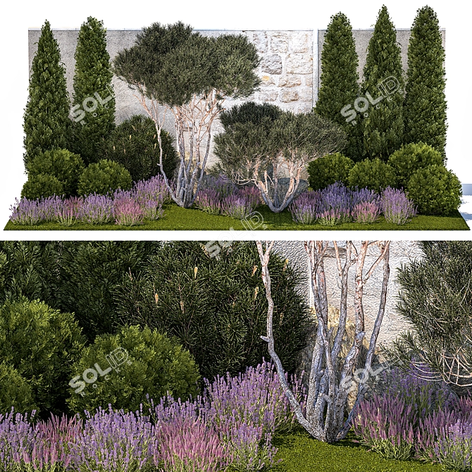 Alpine Garden Collection: Conifers & Lavender 3D model image 1