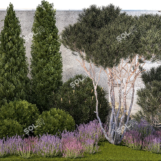 Alpine Garden Collection: Conifers & Lavender 3D model image 2