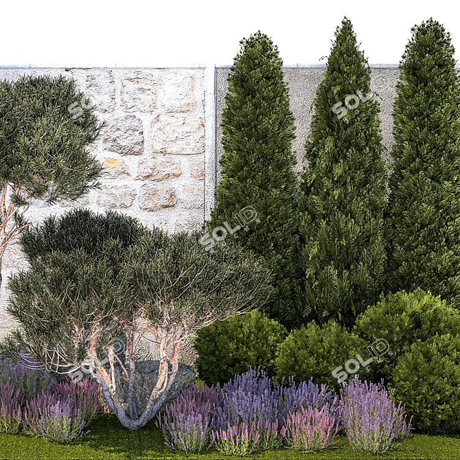 Alpine Garden Collection: Conifers & Lavender 3D model image 3