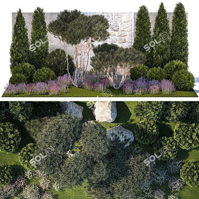 Alpine Garden Collection: Conifers & Lavender 3D model image 4