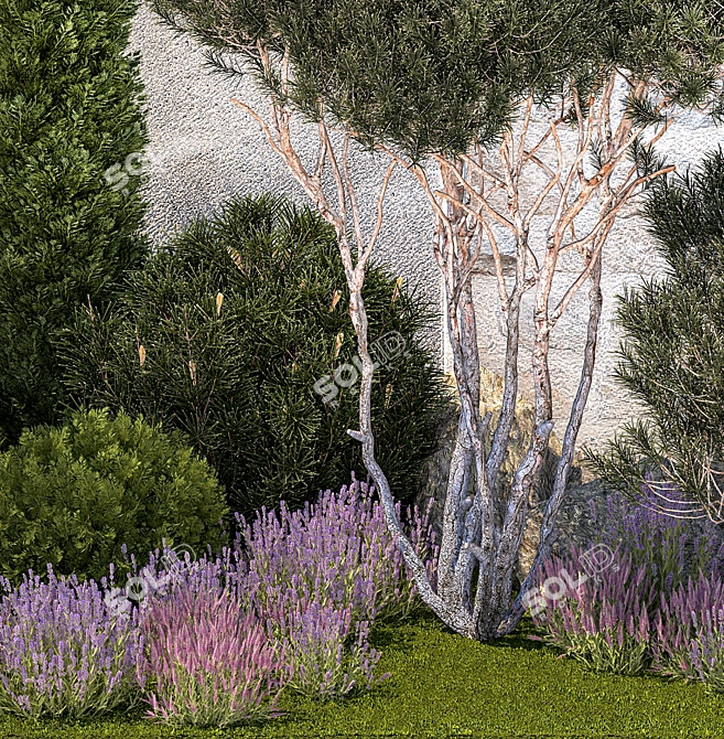 Alpine Garden Collection: Conifers & Lavender 3D model image 5