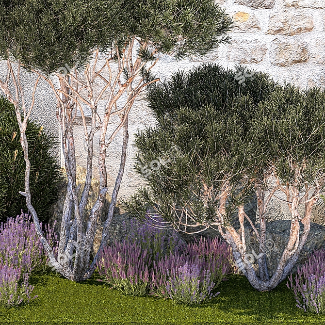 Alpine Garden Collection: Conifers & Lavender 3D model image 6