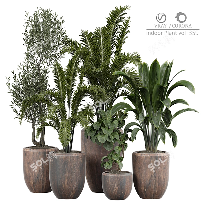 Tropical Plant Collection 3D Model 3D model image 1