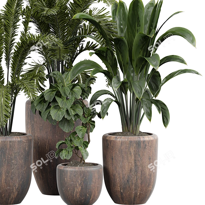Tropical Plant Collection 3D Model 3D model image 2