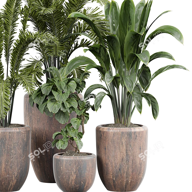 Tropical Plant Collection 3D Model 3D model image 4