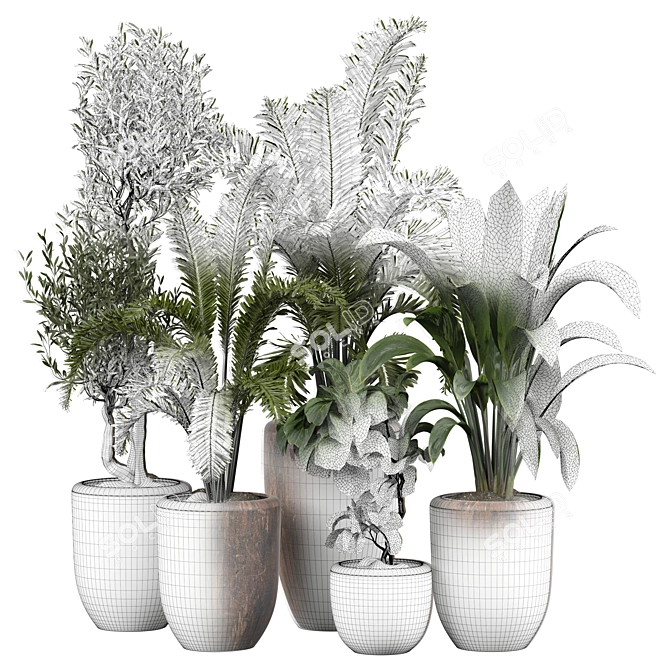 Tropical Plant Collection 3D Model 3D model image 5